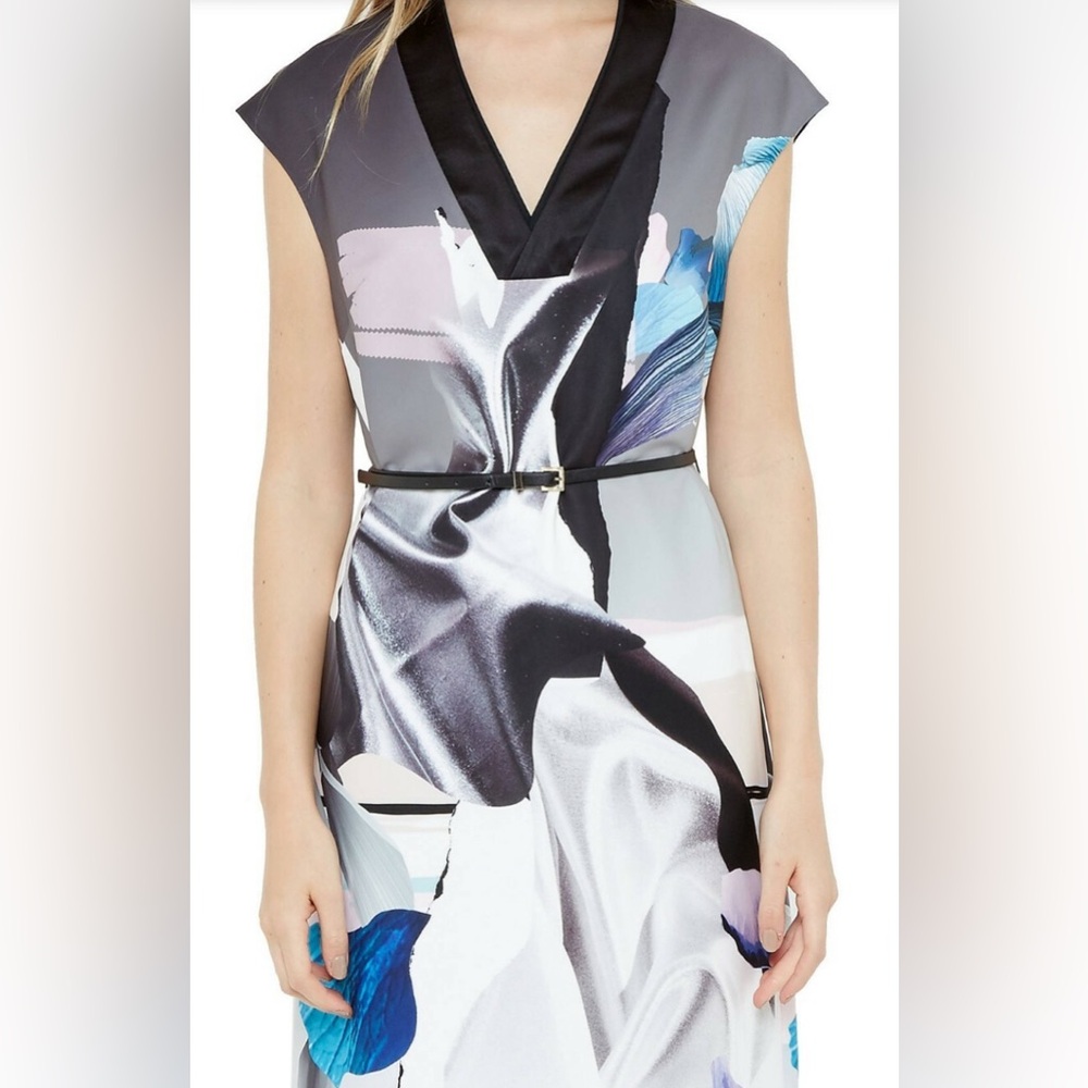 Ted Baker London Lysari Floral Artistic Splash Midi Dress Women’s Sz 10Belt READ